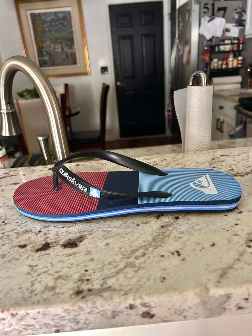 “New” QUIKSILVER MOLOKIA TIJUANA FLIP-FLOPS
